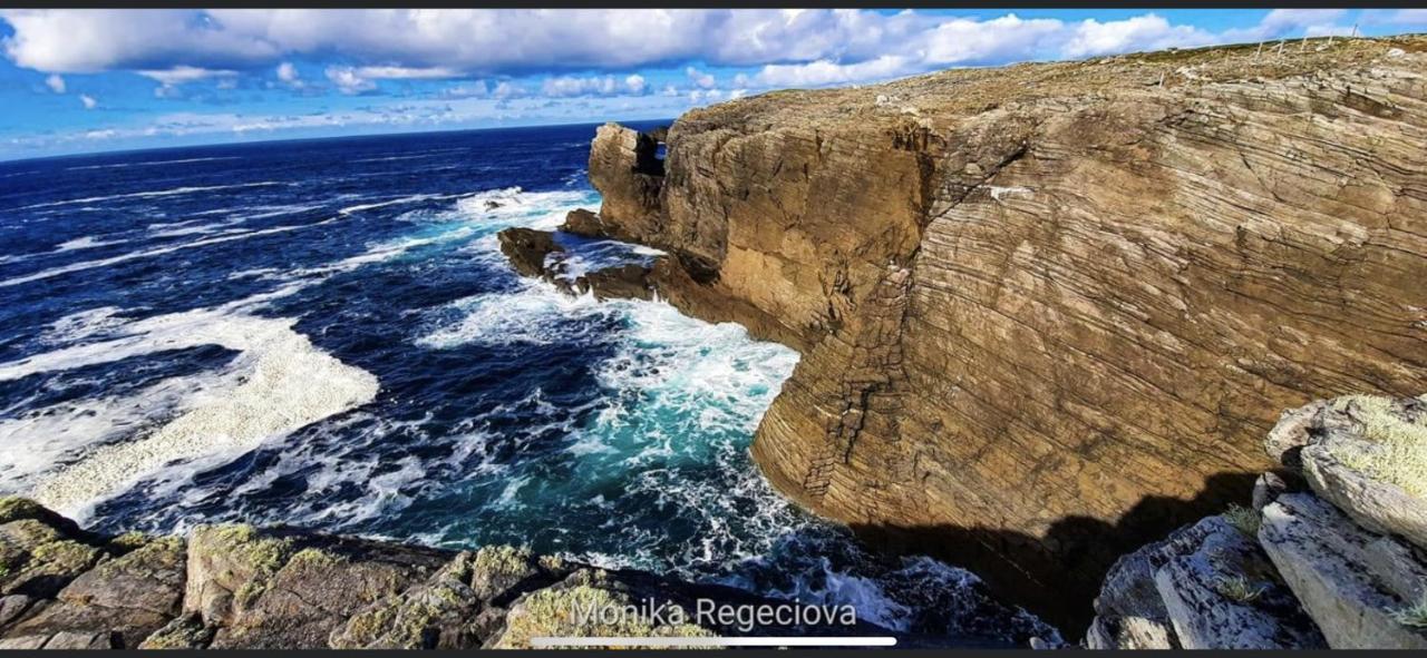 Seascape On The Edge Of Town: 4 Beds All Ensuite. ベルマレット エクステリア 写真