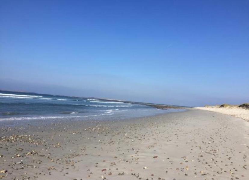 Seascape On The Edge Of Town: 4 Beds All Ensuite. ベルマレット エクステリア 写真